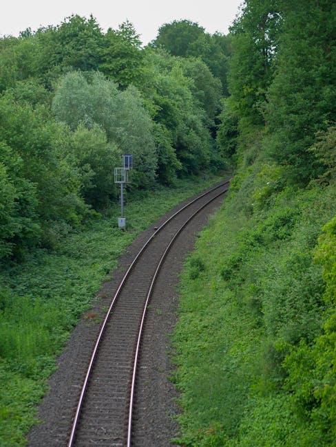 A narrow outdoor footpath with a black asphalt surface, bordered by yellow handrails on the left and blue railings on the right, runs alongside a railway track at a train station. The path is shaded by green trees and bushes on the left side, with sunlight filtering through the foliage. In the distance, there is a small evergreen tree growing close to the railings. Beyond the railings, the railway platform features a row of parked cars, a shelter, and train tracks that extend into the horizon. Overhead electrical lines and metal supports are visible above the platform, with a partly cloudy sky overhead. This environment appears to be part of a home relocation process, with the surrounding area suitable for furniture transport and the loading process towards the station managed by Man with Van Noak Hill, supporting efficient removals and moving logistics.