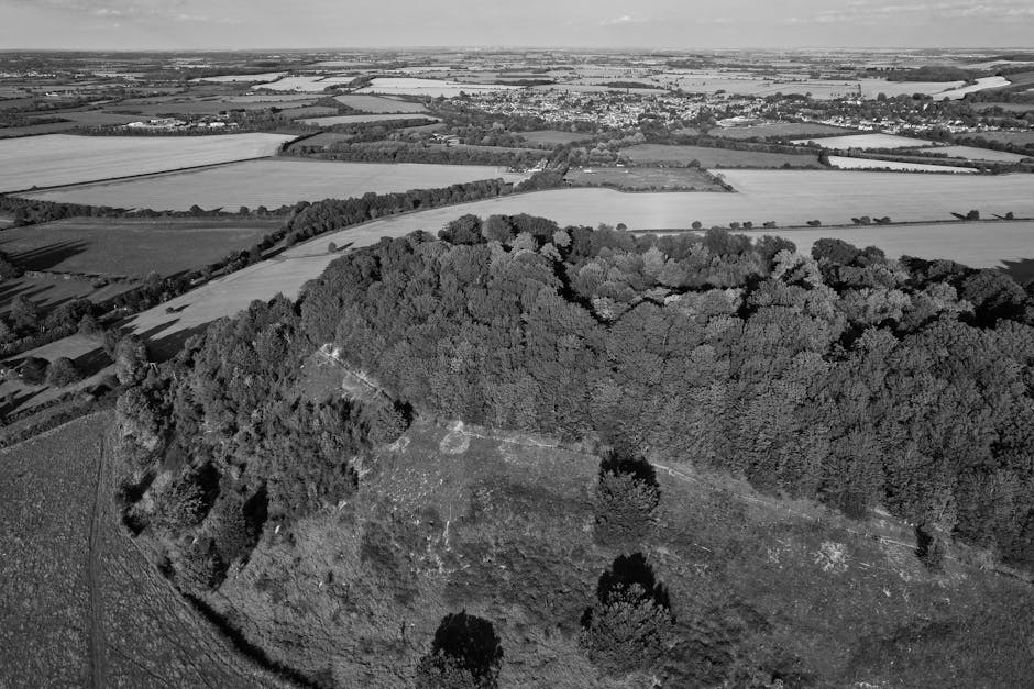 A black-and-white aerial photograph showing a large, densely wooded area with numerous mature trees and clearings on the ground, situated adjacent to open fields and rural landscape. The wooded section is surrounded by farmland divided into rectangular plots, with some visible pathways or tracks running through the fields. The horizon line reveals distant waterways and small settlements, indicating a countryside setting. The image captures the outdoor environment prior to a home relocation or moving services, with no vehicles or equipment present, but the landscape provides context for logistics involved in furniture transport and packing processes. Man with Van Noak Hill might utilize such areas for access or positioning during house removals in the local vicinity, supporting efficient loading and transportation of household goods.