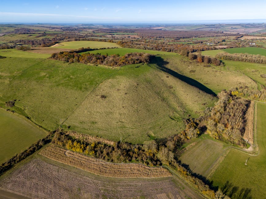 A black-and-white aerial photograph showing a large, densely wooded area with numerous mature trees and clearings on the ground, situated adjacent to open fields and rural landscape. The wooded section is surrounded by farmland divided into rectangular plots, with some visible pathways or tracks running through the fields. The horizon line reveals distant waterways and small settlements, indicating a countryside setting. The image captures the outdoor environment prior to a home relocation or moving services, with no vehicles or equipment present, but the landscape provides context for logistics involved in furniture transport and packing processes. Man with Van Noak Hill might utilize such areas for access or positioning during house removals in the local vicinity, supporting efficient loading and transportation of household goods.