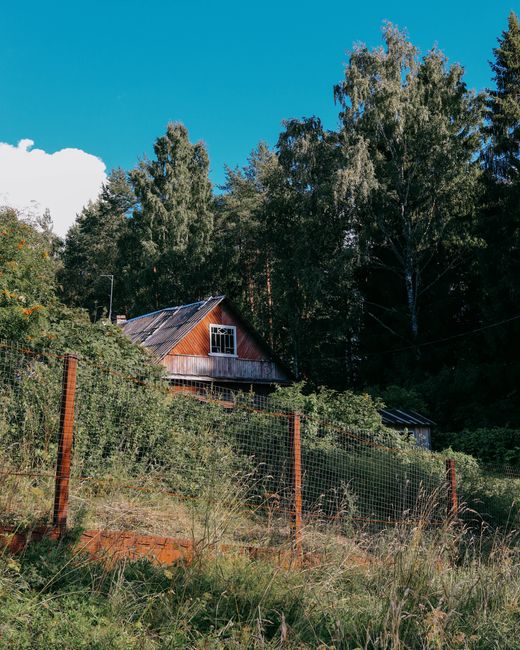 A rural scene featuring a wooden farmhouse with a pitched roof and a small window, situated amidst dense greenery and tall trees on a hillside. The house is partially obscured by overgrown bushes and