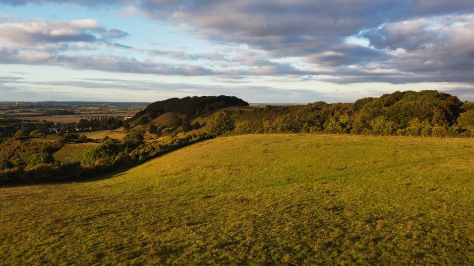 A wide view of rolling green countryside under a partly cloudy sky, with a grassy field in the foreground and a line of trees on a small hill in the middle distance. The landscape extends towards distant more wooded hills on the horizon, capturing natural rural scenery. This outdoor scene is unrelated to house removals or moving activities, and no furniture, vehicles, or packaging materials are visible in the image.