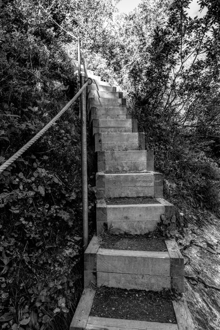 A narrow outdoor staircase constructed from concrete steps with a metal handrail on the left side, ascending through a densely wooded area with trees and foliage visible on either side. The stairs are supported by wooden framing at the base and are located on a slight incline, leading upwards out of view into the treetops. The environment appears to be part of a natural trail or access route, with gravel and soil at the bottom. This staircase may be used for access to a higher level property or an outdoor area, and the scene suggests it is in a rural or semi-rural location, possibly related to a house removal or relocation process involving difficult terrain, as handled by Man with Van Noak Hill.